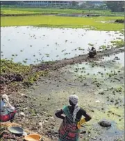  ??  ?? Workers clean Wadale lake in Panvel on Friday.