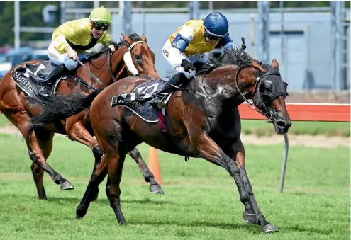  ??  ?? Stolen Dance might have run her last race after her victory in the Thorndon Mile yesterday.