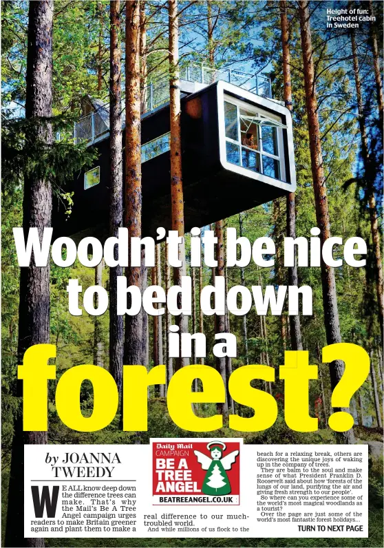 ??  ?? Height of fun: Treehotel cabin in Sweden