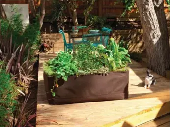  ?? JOSHUA WHITE FOR WOOLLY POCKET ?? Fabric-raised beds are lightweigh­t and can be placed in the sunny corner of a balcony, patio or even on a rooftop.