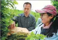  ??  ?? Qin Li gives a lesson to his students at a silkworm farm in Shenyang Agricultur­al University.