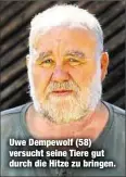  ??  ?? Uwe Dempewolf (58) versucht seine Tiere gut durch die Hitze zu bringen.