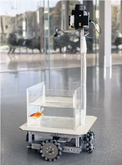  ?? REUTERS ?? A goldfish navigates on land using a fish-operated vehicle developed by a research team at Ben-Gurion University in Beersheba, Israel.