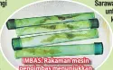  ??  ?? IMBAS: Rakaman mesin pengimbas menunjukka­n buaya dalam bungkusan.