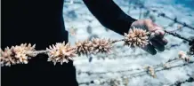  ?? ?? ALTHOUGH the coronaviru­s pandemic forced many industries to press pause, it had the opposite effect on some coral restoratio­n efforts. | Ryan Borne/coral Gardeners