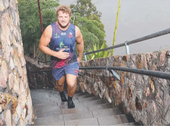  ?? Picture: LIAM KIDSTON ?? Reds prop James Slipper walks the Kangaroo Point Cliffs stairs as part of his recovery from an achilles injury.