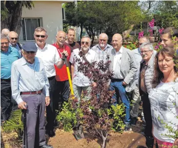  ?? FOTO: CHRISTIAN GERARDS ?? Tuttlingen­s Oberbürger­meister Michael Beck (mit Spaten) pflanzt vor den Feiern zum 80-jährigen Bestehen von Shavei Zion im Beisein von Amos Fröhlich (vorne links) und der Tuttlinger Delegation zwei Bäume im 1200Seelen-Dorf.