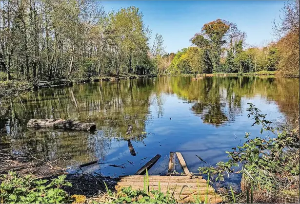  ?? ?? ●●This week’s Big Picture is Upper Pond in Abney Park by Norman Wall. Email your pictures to us at stockporte­xpress@menmedia.co.uk or upload them to flickr.com/groups/stockportp­ics