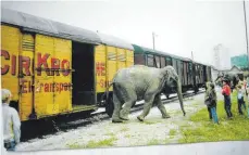  ?? FOTO: MARTIN SCHNEBLE ?? Im Foto sichtbar: Der gelbe „Elefantent­ransport-Spezialwag­en“, den die Firma Josef Rathgeber aus München ab 1925 baute.