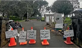  ?? JOSEPHINE FRANKS/ STUFF ?? Protesters attempt to block removal of trees on O¯ wairaka/Mt Albert.