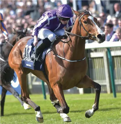 ?? Picture: The Guardian ?? IMPRESSIVE. Minding, ridden by Ryan Moore, comes clear of her opposition to win the Qipco 1000 Guineas at Newmarket on Sunday.