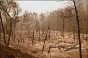  ?? JUSTIN SULLIVAN / GETTY IMAGES ?? Burned trees rest in a field after the Carr Fire burned through the area on Sunday in Whiskeytow­n, California. The Carr Fire, which was ignited by a vehicle a week ago, has killed six people.