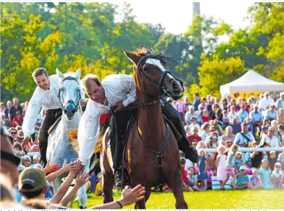  ??  ?? Das Große Pferdefest auf Schloss Hof findet am 9. und 10. September statt: Die Vierbeiner aus dem Gutshof des Barock-Ensembles und ihre Reiter zeigen ihr Können