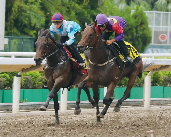 Lui’s Hunter the hunted PressReader