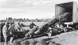  ?? ANDREW SELSKY/AP ?? Farmworker­s — most of them from Mexico — load trees onto a truck this month at Hupp Farms in Silverton, Oregon, where the Christmas tree industry is the nation’s largest.