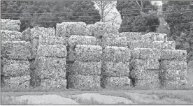  ?? / Doug Walker, file ?? The recycling industry is discussing the fate of plastics — like these bales of plastic bottles await processing at Marglen Industries — after China’s ban on importing plastic waste.