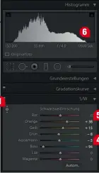  ??  ?? Tonwerte nach Maß: Ziehen Sie über Bildfarben, die in der Schwarzwei­ßumsetzung dunkler oder heller erscheinen sollen.