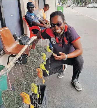  ?? | DUNCAN GUY ?? ARTIST Victor Mpofu exhibits his avian wire sculptures on the pavement near Bulwer Park in Glenwood. He was inspired by observing how weaver birds build their nests.