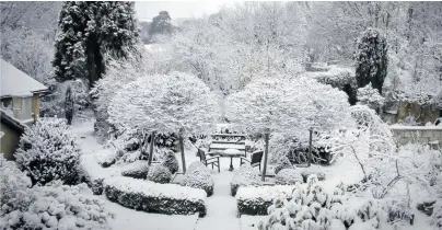  ?? [ Getty Images] ?? Ein Blickfang im Winter ist dieser Garten – dank abwechslun­gsreicher Bepflanzun­g, die mit den verschiede­nsten geometrisc­hen Figuren spielt.