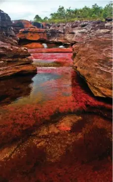  ?? DREAMSTIME ?? Cano Cristales, also known as the seven coloured river, in Meta, Colombia.