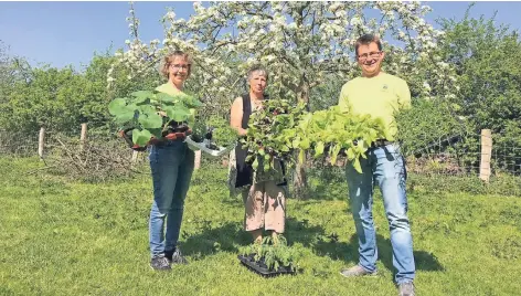  ?? FOTOS: ANJA SETTNIK I PIXABAY ?? Präsentier­en Jungpflanz­en: Angela und Hubert Lemken, in der Mitte Andrea Kanter.
