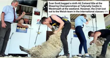  ?? APX ?? Ivan Scott bagged a ninth All Ireland title at the Shearing Championsh­ips at Tullynally Castle in Westmeath at the weekend. However, the Irish lost out to the Welsh team in the internatio­nal classes