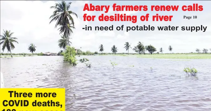  ??  ?? Floodwater has merged the farmlands into one with the Abary River (David Papannah photo)