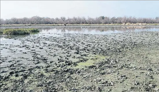  ?? PERE DURAN / NORD MEDIA ?? La imagen ilustra a la perfección los efectos de la sequía en los humedales de la zona