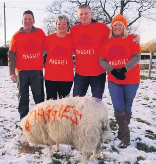  ??  ?? The team behind the Name the Lamb fundraiser (from left) Stephen and Helen Sheldon with Chris and Carolyn Thompson