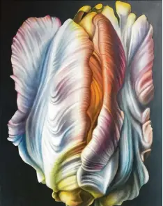  ??  ?? Die Tulpenbild­er von Franz Meckl lösen sich von der Form. Es geht dabei nicht um Tulpen, sondern um Malerei.