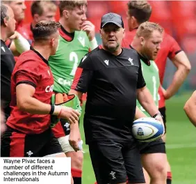  ??  ?? Wayne Pivac faces a number of different challenges in the Autumn Internatio­nals