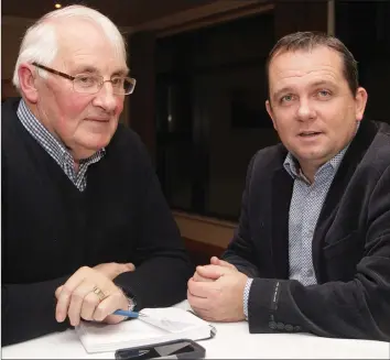  ??  ?? Davy Fitzgerald chatting with Brendan Furlong at the ClubWexfor­d sponsors’ night in the Ashdown Park Hotel in Gorey on Saturday.