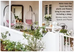  ??  ?? Adrie loves the fresh feel that plants and flowers bring to any room – including a stoep. Monkey statue from Spaces and Places