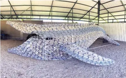  ?? CORTESÍA BAHÍA BALLENA LIBRE DE PLÁSTICO ?? Los vecinos de Bahía Ballena de Osa, Puntarenas, utilizaron más de 3.500 botellas de plástico para crear una ballena de nueve metros de largo por dos de alto.