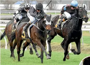  ?? RACE IMAGES/STUFF ?? Rosewood, above left, and trainer Marilyn Paewai, inset right, are making their first trip to Riccarton for the $100,000 Winter Cup today.