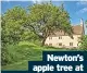  ?? ©National Trust/james Dobson ?? Newton’s apple tree at Woolsthorp­e Manor