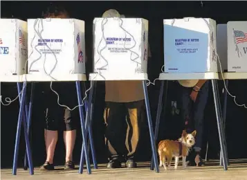  ?? GENARO MOLINA LOS ANGELES TIMES ?? A dog named Eleanor Roosevelt waits below voting booths as California­ns cast their votes in Venice in 2016. Voter turnout in this month’s California primary election was well below the 2018 participat­ion rate.