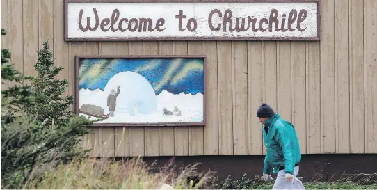  ??  ?? ANDRE FORGET / POSTMEDIA NETWORK FILES Churchill’s recent tourism boom, spurred by adventure travellers and an abundance of polar bears and beluga whales, has been overshadow­ed by the shipping season’s cancellati­on.