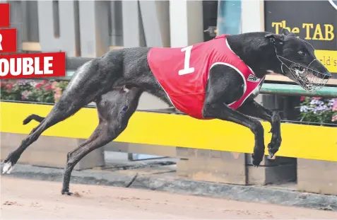  ??  ?? EYES ON THE PRIZE: Jaro Bale on the way to a heat win in the TAB Melbourne Cup.