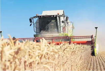  ?? ?? CHANCE TO SHINE: Checking oilseed rape, far left, and harvesting agricultur­al cereal with a combine.