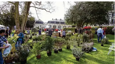  ??  ?? Plus de 70 exposants seront au château de Crécy samedi et dimanche prochains