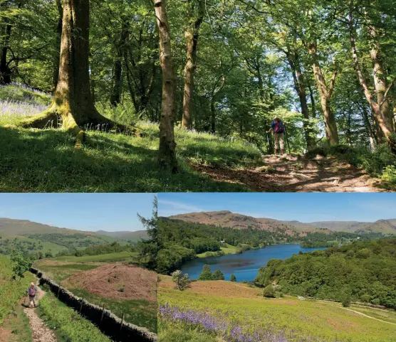  ??  ?? [ Captions clockwise from top]
A respite from the sun in the woods; Bluebells and Grasmere; Even hotter down here!