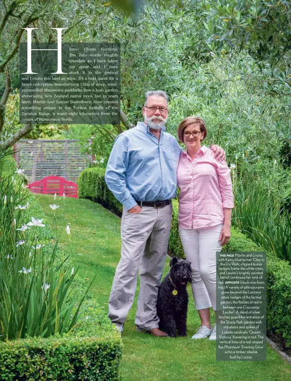  ??  ?? THIS PAGE Martin and Louise with Kerry blue terrier Cleo in the Iris Walk; clipped buxus hedges frame the white irises, and Louise’s brightly painted bench continues her love of red. OPPOSITE (clockwise from top) A variety of pittosporu­ms grow beyond the Lonicera nitida hedges of the formal garden; the flashes of red in between are Crocosmia ‘Lucifer’. A stand of silver birches guard the entrance of the Shady Path garden with impatiens and spikes of Lobelia cardinalis ‘Queen Victoria’ flowering in red. The vertical lines of a red-striped flax Phormium ‘Evening Glow’ echo a timber obelisk built by Louise.