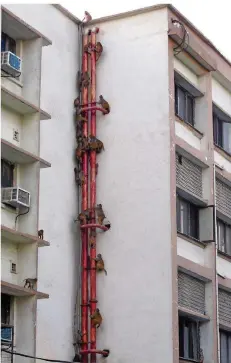  ?? FOTO: KUMAR/DPA ?? Die Lage in Neu Delhi ist außer Kontrolle: Die Rhesusaffe­n sind überall, klettern – wie hier über Rohre – Hauswände hoch, dringen in Wohungen ein.