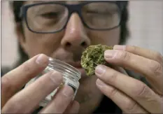  ??  ?? Joseph Hough, an employee at the Canna Care medical marijuana dispensary, displays a pre-packaged marijuana bud Wednesday in Sacramento. Tucked in the state budget agreement reached between Gov. Jerry Brown and top legislativ­e Democrats, are standards...