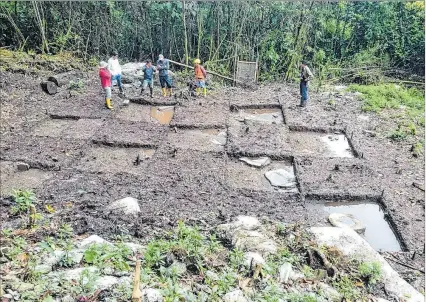  ?? NÉSTOR MENDOZA / EXPRESO ?? Amazonía. Un grupo de arqueólogo­s observa la zona de excavacion­es en un lugar de exploració­n.