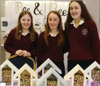  ??  ?? Presentati­on School Mitchelsto­wn students on their ‘bee and bee’ stand at the regional final of the Cork North Schools Enterprise Programme at the Charlevill­e Park Hotel.