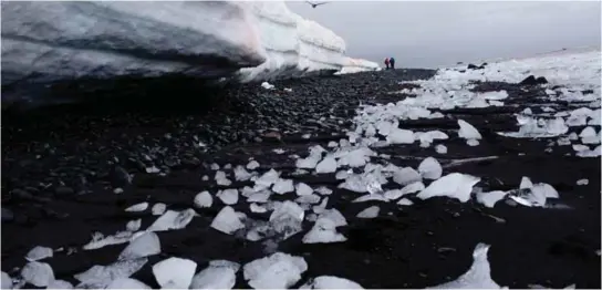  ??  ?? In this Jan 26, 2015 photo, pieces of thawing ice are scattered along the beach shore at Punta Hanna, Livingston Island, in the Antarctica. — AP