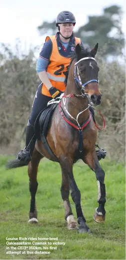  ??  ?? Louise Rich rides home-bred Oakleazefa­rm Czamak to victory in the CEI3* 160km, his first attempt at this distance