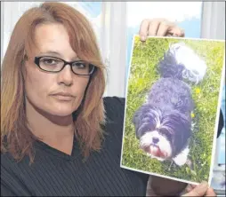  ?? Pictures: Paul Amos FM3494005 ?? Alexis Robertson, from Kingsnorth, with a photo of Mavis who died after she was run over